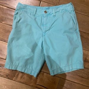 American Eagle Men’s Shorts 30 inch waist